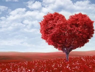 Πέντε λόγοι... υγείας για να γιορτάσετε τον Άγιο Βαλεντίνο